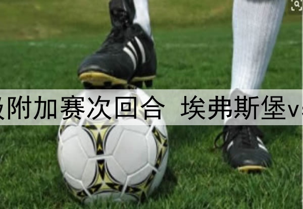 2025年5月27日 德甲降级附加赛次回合 埃弗斯堡vs海登海姆 全场录像回放